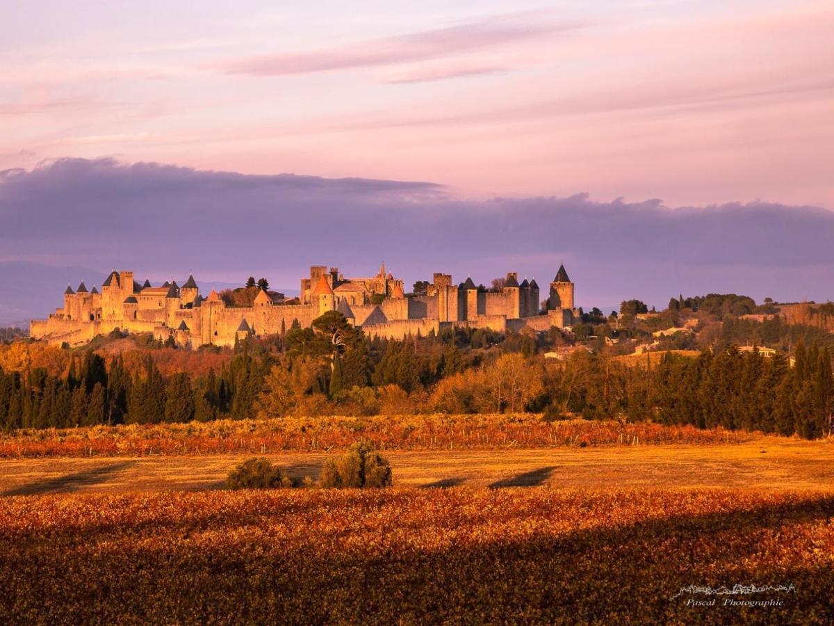B&B-Les Balcons De Maragon Carcassonne Esterno foto